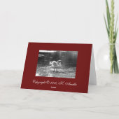 グレースワンクリスマスカード シーズンカード (裏面)