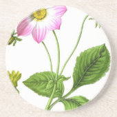 グレース コースター (正面)