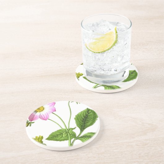 グレース コースター (側面)