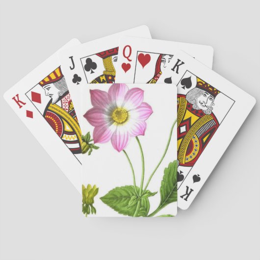 グレース トランプ (裏面)