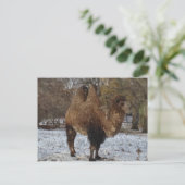 グレーズドカムアート ポストカード (スタンド正面)