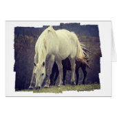 グレーズ (正面横)