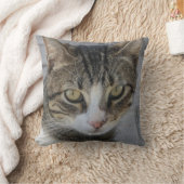 グレータイガーキャット写真、美しい希少猫の恋人 クッション (ブランケット)