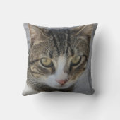 グレータイガーキャット写真、美しい希少猫の恋人 クッション (裏面)