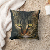 グレータビー猫のクローズアップ写真 クッション (ブランケット)