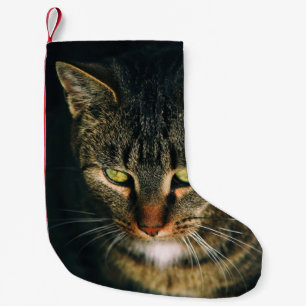 グレータビー猫のクローズアップ写真 スモールクリスマスストッキング