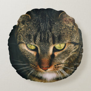 グレータビー猫のクローズアップ写真 ラウンドクッション