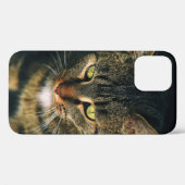 グレータビー猫のクローズアップ写真 Case-Mate iPhoneケース (裏面 (横))