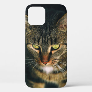 グレータビー猫のクローズアップ写真 iPhone 12ケース