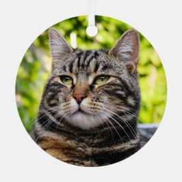 グレータブビーキャットメタルオーナメント メタルオーナメント