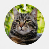 グレータブビーキャットメタルオーナメント メタルオーナメント (正面)