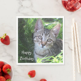 グレータブビーキャット誕生日 スタンダードランチョンナプキン