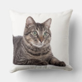 グレータブビーキャット クッション (裏面)