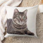 グレータブビーキャット クッション (ブランケット)