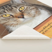 グレータブビーキャット シェルパブランケット (3/4)