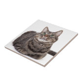 グレータブビーキャット タイル (側面)