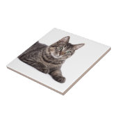 グレータブビーキャット タイル (側面)