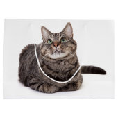 グレータブビーキャット ラージペーパーバッグ (裏面)