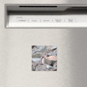 グレーターアースドリス Glacier II マグネット (インサイチュ (食洗機))