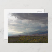 グレートサンドデューンズ国立公園&保護区, コロラド州 ポストカード (正面/裏面)