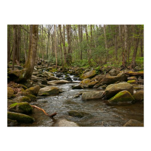 グレートスモーキー山脈のLeConte Creek ポスター (正面)