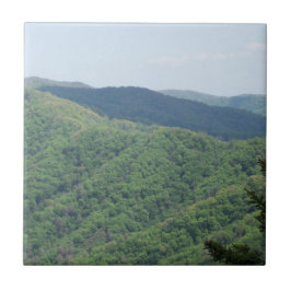 グレートスモーキー山脈 タイル