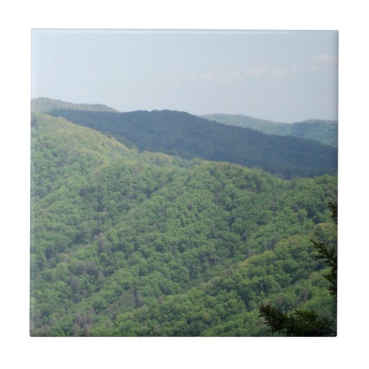 グレートスモーキー山脈 タイル (正面)
