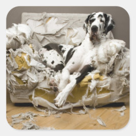 グレートダネシェードソファペットシッタードッグウォーカー スクエアシール