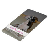 グレートダネス マグネット (左側)