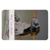 グレートダネス マグネット (横)