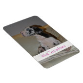 グレートダネス マグネット (右側)