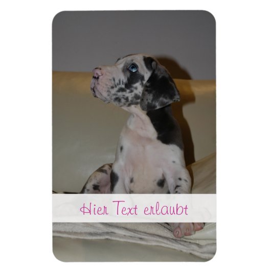 グレートダネス マグネット (縦)