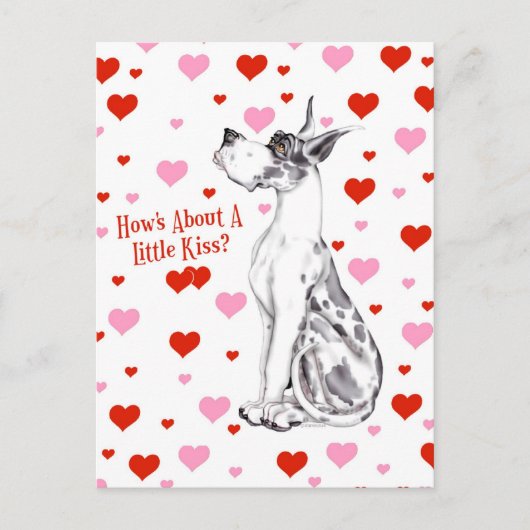 グレートダネハーレクインバレンタインデーキス シーズンポストカード (正面)