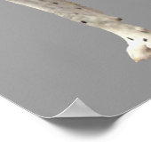 グレートダネハーレクインプリント ポスター (角)