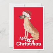 グレートダンおもしろいドッグクリスマスサンタハットホリデー (正面)