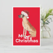 グレートダンおもしろいドッグクリスマスサンタハットホリデー (スタンド正面)