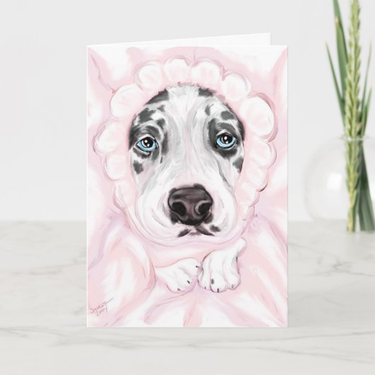 グレートダンベビーハーレクインガールアナウンスメント 案内状 (正面)