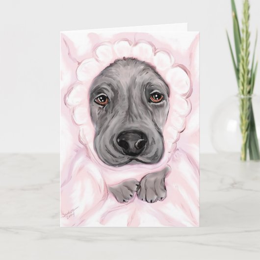 グレートダンベビーブラックガールアナウンスメント 案内状 (正面)