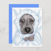 グレートダンベビーブラックボーイアナウンスメントポストカード 案内ポストカード (正面/裏面)