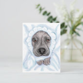 グレートダンベビーブラックボーイアナウンスメントポストカード 案内ポストカード (スタンド正面)