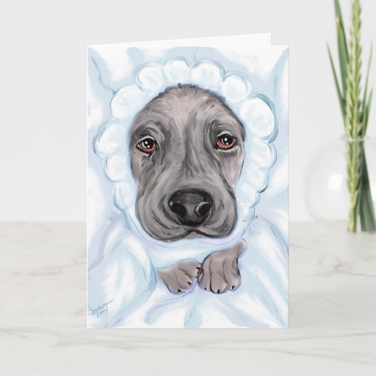 グレートダンベビーブラックボーイアナウンスメント 案内状 (正面)