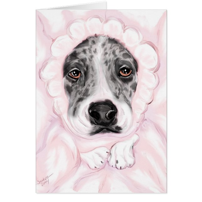 グレートダンベビーマントルメルレガールアナウンスメント (正面)