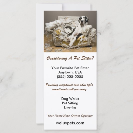 グレートダンリラックスオンチューソファペットシッター (正面)