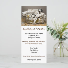 グレートダンリラックスオンチューソファペットシッター