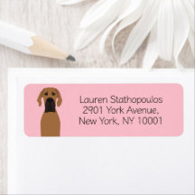 グレートダン子犬