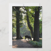 グレートダン招待状 招待状 (正面)