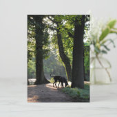 グレートダン招待状 招待状 (スタンド正面)