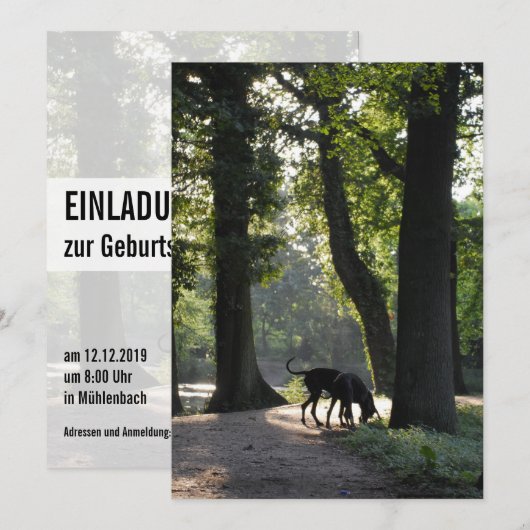 グレートダン招待状 招待状 (正面/裏面)