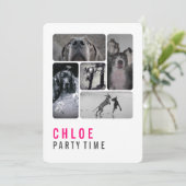 グレートダン招待状 招待状 (スタンド正面)