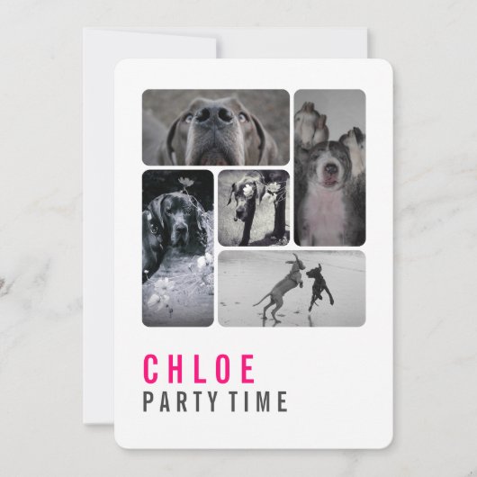 グレートダン招待状 招待状 (正面)